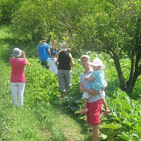 Il Casale Delle Arance Farmház Pizzo
