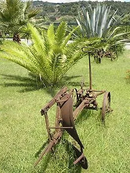 Il Casale Delle Arance Alojamento de Turismo Rural