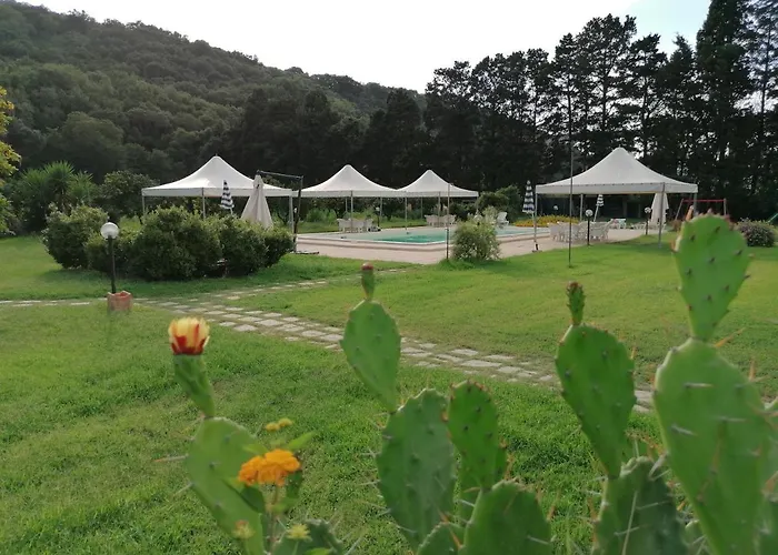Il Casale Delle Arance Pizzo (Calabria)
